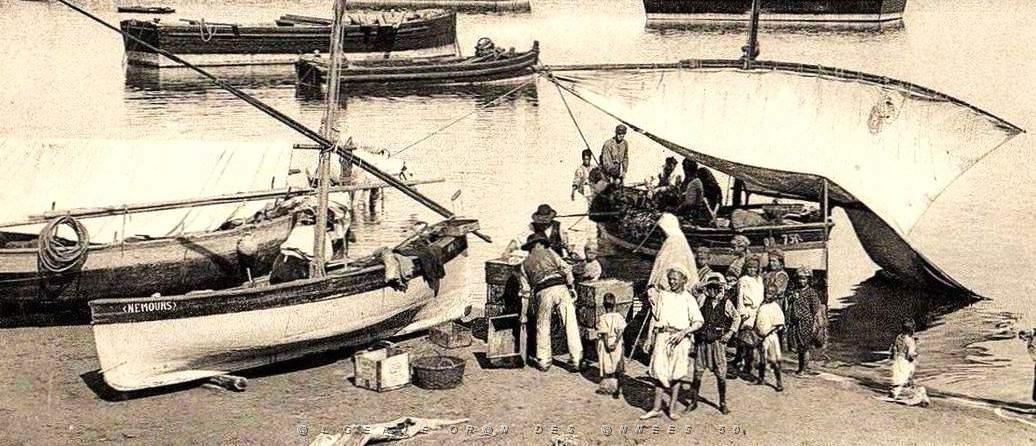 1089- Beni-saf - Les Bateaux-pecheurs2.jpg
